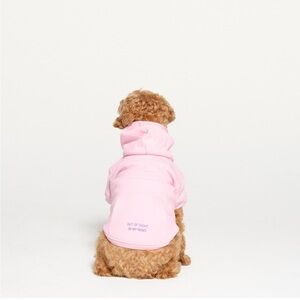 SKIMS Valentines Pink Dog Hoodie “Out of Sight in My Mind” size Medium